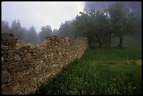 Stone wall. San Gimignano, Tuscany, Italy ( color)