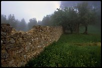 Stone wall. San Gimignano, Tuscany, Italy