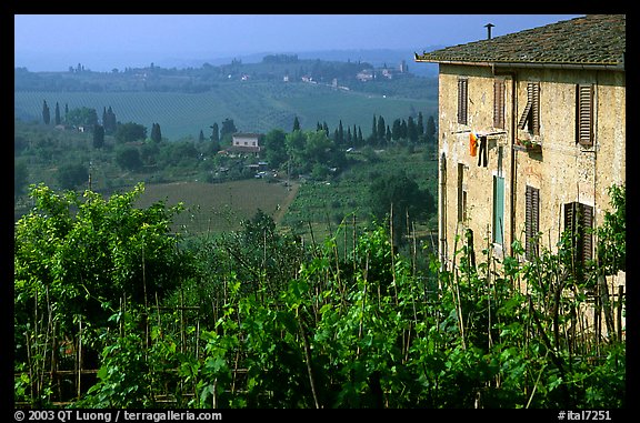 Gardens and countryside on the periphery of the town. San Gimignano, Tuscany, Italy