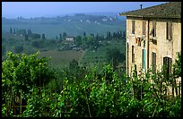 Gardens and countryside on the periphery of the town. San Gimignano, Tuscany, Italy