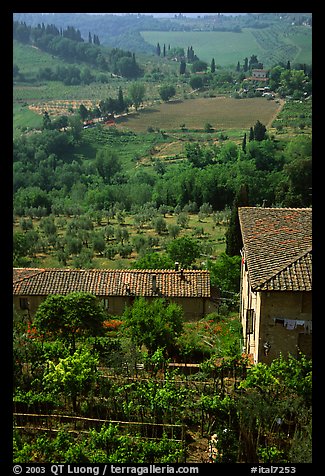 Gardens and contryside  on the periphery of the town. San Gimignano, Tuscany, Italy (color)