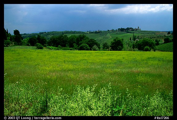 Countryside. Tuscany, Italy (color)