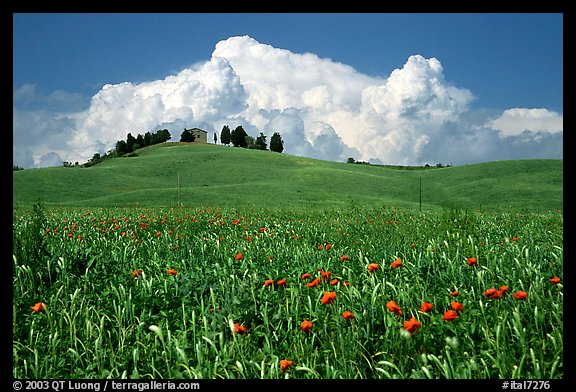 Field and distant ridge with cypress and house. Tuscany, Italy