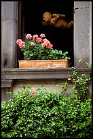 Window with flowers. Orvieto, Umbria