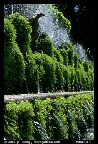 Fountains in the garden of Villa d'Este. Tivoli, Lazio, Italy (color)