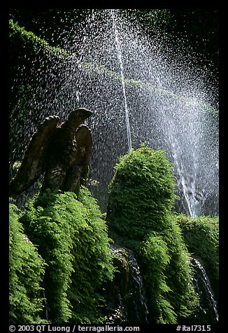 Fountains in the garden of Villa d'Este. Tivoli, Lazio, Italy