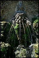 Water-sprouting grotesque figure, Villa d'Este. Tivoli, Lazio, Italy (color)