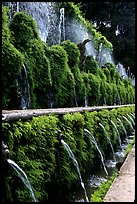 Alley lined with fountains, Villa d'Este. Tivoli, Lazio, Italy