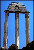 Casa delle Vestali (House of the Vestal Virgins), Roman Forum. Rome, Lazio, Italy