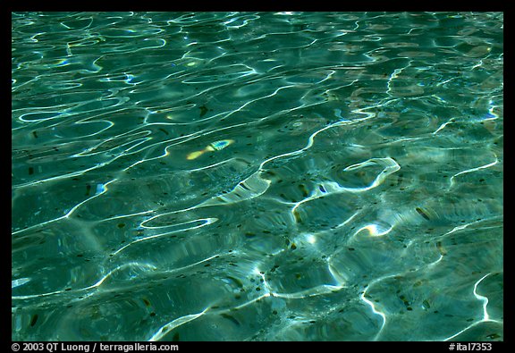 Water reflections, and coins lying in the Trevi Fountain. Rome, Lazio, Italy (color)
