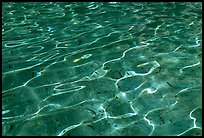 Water reflections, and coins lying in the Trevi Fountain. Rome, Lazio, Italy