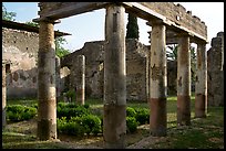 Villa. Pompeii, Campania, Italy (color)