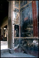 Fresco on the walls of Villa Vettii. Pompeii, Campania, Italy (color)