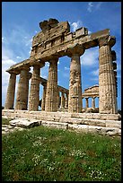 Ruins of Greek Temple of Ceres. Campania, Italy (color)