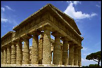 Tempio di Nettuno (Temple of Neptune), a Greek temple (5th century BC). Campania, Italy ( color)