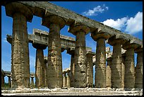 Columns of Greek Temple of Neptune. Campania, Italy ( color)