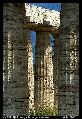 Columns of Temple of Neptune in Doric style. Campania, Italy (color)