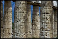 Doric columns of Tempio di Nettuno. Campania, Italy ( color)