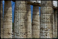 Doric columns of Tempio di Nettuno. Campania, Italy