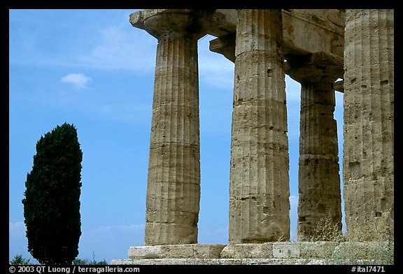 Cypress and Doruc columns of  Temple of Neptune. Campania, Italy (color)