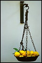 Basket of lemons, the local produce. Amalfi Coast, Campania, Italy (color)