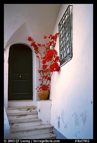 Door, red flowers, white walls, Positano. Amalfi Coast, Campania, Italy (color)