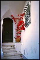 Door, red flowers, white walls, Positano. Amalfi Coast, Campania, Italy