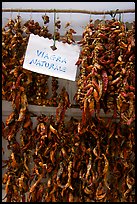 Natural Viagra. Amalfi Coast, Campania, Italy