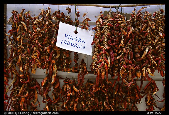 Red peppers, the Viagra Naturale. Amalfi Coast, Campania, Italy (color)