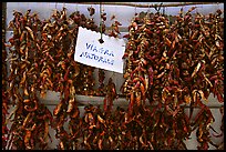 Red peppers, the Viagra Naturale. Amalfi Coast, Campania, Italy ( color)