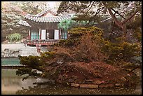 Buyongji, pond, trees, and canvas, Changdeok Palace. Seoul, South Korea