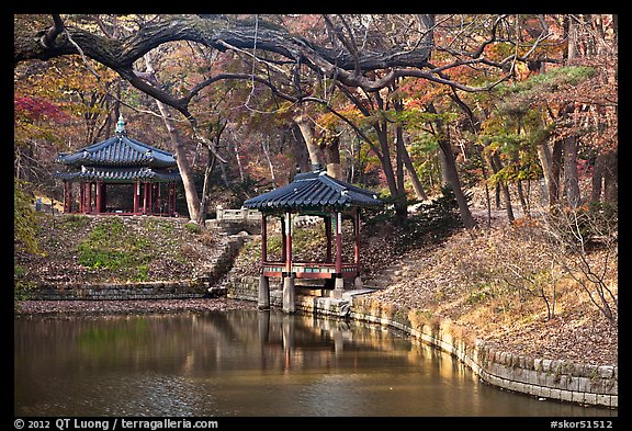 Pond in autumn, Changdeokgung Palace gardens. Seoul, South Korea (color)