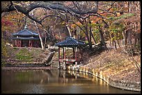 Pond in autumn, Changdeokgung Palace gardens. Seoul, South Korea