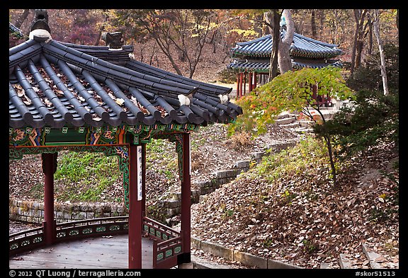 Pavilions in autumn, Changdeok Palace gardens. Seoul, South Korea