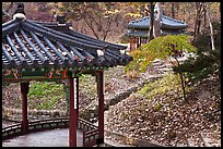 Pavilions in autumn, Changdeok Palace gardens. Seoul, South Korea ( color)