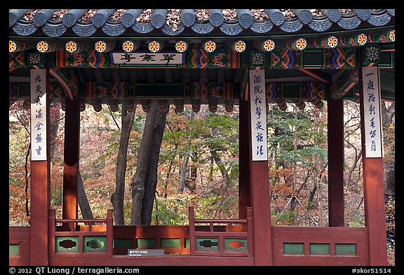 Gazebo in autumn, Ongnyucheong, Changdeokgung gardens,. Seoul, South Korea (color)