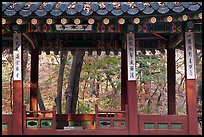 Gazebo in autumn, Ongnyucheong, Changdeokgung gardens,. Seoul, South Korea ( color)