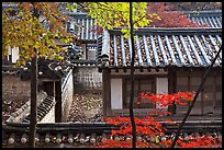 Fall foliage and historic architecture, Yeongyeong-dang, Changdeokgung Palace. Seoul, South Korea (color)