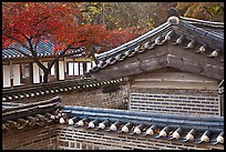 Wall and rooftop details, Yeongyeong-dang, Changdeok Palace. Seoul, South Korea ( color)