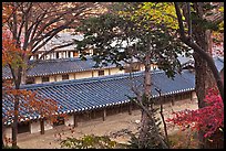 Fall foliage and tile rooftops, Yeongyeong-dang, Changdeokgung Palace. Seoul, South Korea ( color)