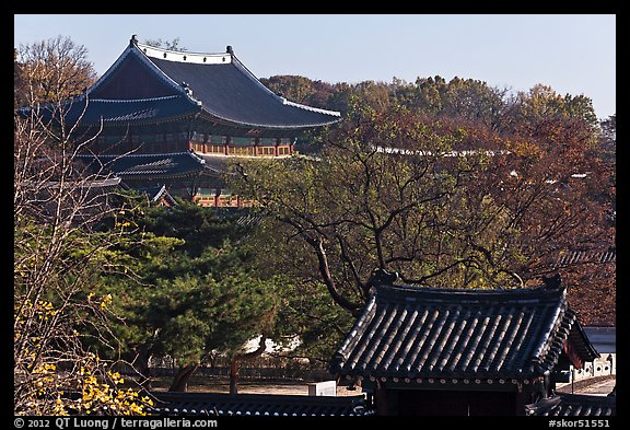 Changdeokgung Palace complex. Seoul, South Korea (color)