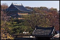 Changdeokgung Palace complex. Seoul, South Korea (color)