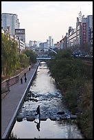 Man crossing Cheonggye stream. Seoul, South Korea ( color)