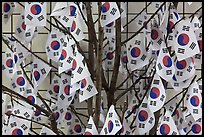 South Korean flags. Seoul, South Korea ( color)
