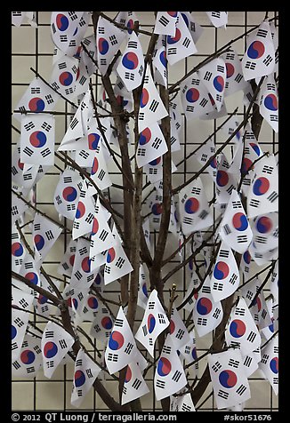 Sappling decorated with Korean flags. Seoul, South Korea (color)