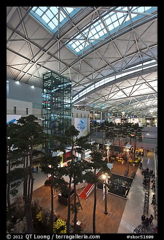 Trees inside Incheon international main terminal. South Korea