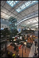 Trees inside Incheon international main terminal. South Korea (color)