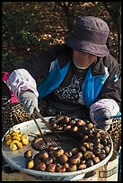 Woman grilling chestnuts. Daegu, South Korea ( color)