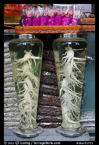Gingseng roots in jars, Yangnyeongsi, Namseongno. Daegu, South Korea (color)