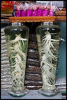 Gingseng roots in jars, Yangnyeongsi, Namseongno. Daegu, South Korea ( color)